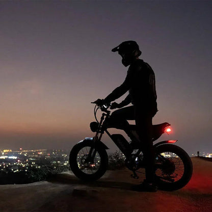 Dual Motor Electric Bike Q20PRO 2000W 52V 40Ah