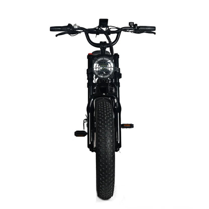 Electric Mountain Bike for Adults | 20 x 4.0 Fat Tires, 1000W Motor, 48V 20Ah Removable Battery, Max Speed 45MPH, Shi Mano 7-Speed for Off-Road Adventures