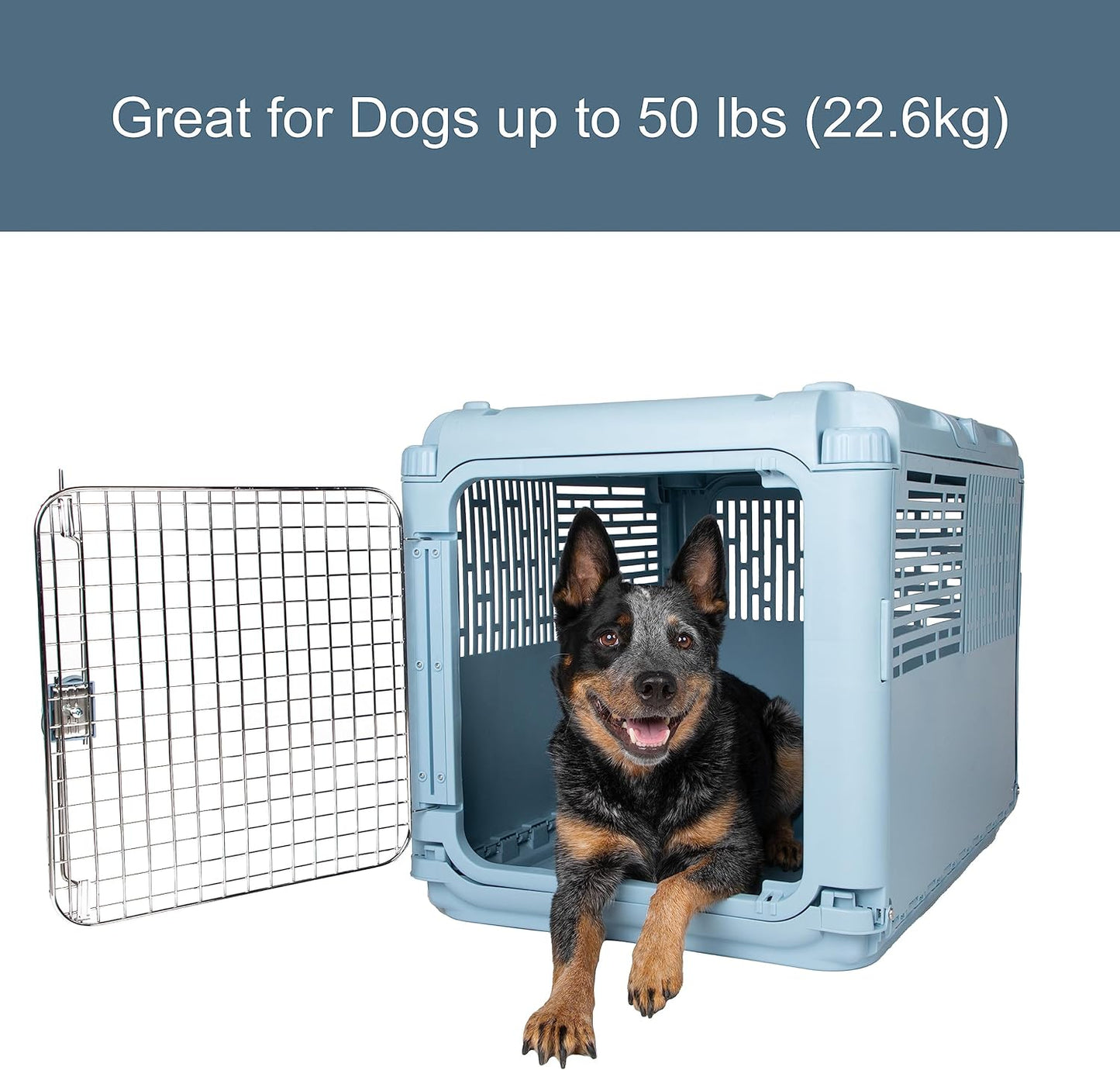 Designs Plastic Kennels Rolling Plastic Airline Approved Wire Door Travel Dog Crate, XXX-Large, Gray
