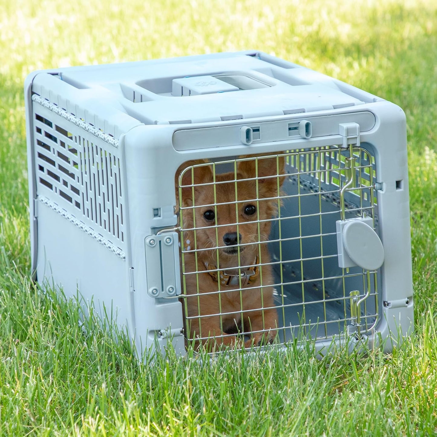 Designs Plastic Kennels Rolling Plastic Airline Approved Wire Door Travel Dog Crate, XXX-Large, Gray